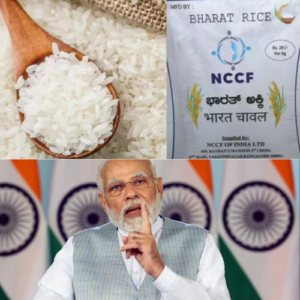 Untitled design (32)