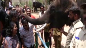 ನನ್ನ ಸ್ಪರ್ಧೆಯಿಂದಾಗಿ ಬಿಜೆಪಿ ಭಯ ಪಡುತ್ತಿದೆ; ಗೀತಾ! Shivarajkumar