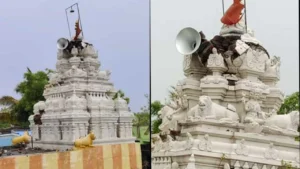 raingopuradamage____