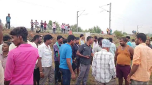 nelamangala-sheep-killed