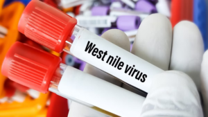 west-nile-virus-1