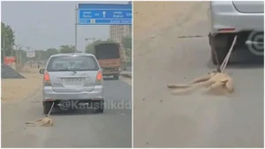 ಕಾರಿಗೆ ಸತ್ತ ನಾಯಿ ಕಟ್ಟಿಕೊಂಡು ಎಳೆದೊಯ್ದ ಪಾಪಿ dead-stray-dog-tied-to-suv-and-dragged-on-highway-in
