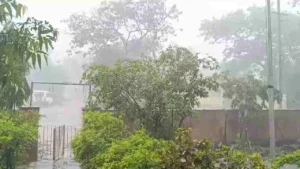 karnataka-rain-1