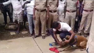 Missing-Andhra-Girl-8-Gangraped-By-School-Seniors-They-Say-They-Killed-Her