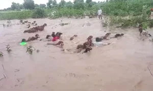 Karnataka-Rain-1
