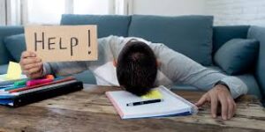 WhatsApp Image 2024-08-29 at 10.13.54 AM