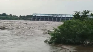 bhima-river-flood-4