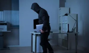 1843333-imageshare1726727230035