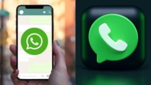 WhatsApp Image 2024-09-13 at 2.42.26 PM