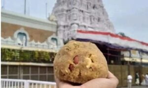 WhatsApp Image 2024-09-19 at 8.01.14 PM