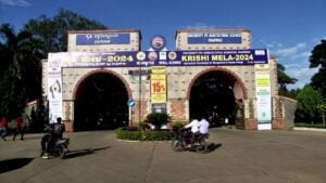 WhatsApp Image 2024-09-21 at 10.39.06 AM