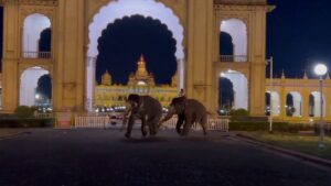 WhatsApp Image 2024-09-21 at 9.31.54 AM