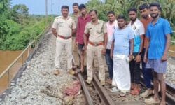 ರೈಲು ಡಿಕ್ಕಿ: ಚಿರತೆ ಸಾವು