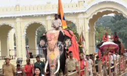 ಮೈಸೂರಿನಲ್ಲಿ ಕಳೆಗಟ್ಟಿದ ದಸರಾ ಸಂಭ್ರಮ!