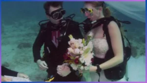 trending-news-in-kannada-41