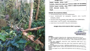 chikkamagaluru-school-college-holiday