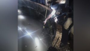 WhatsApp Image 2024-12-12 at 11.16.23 AM