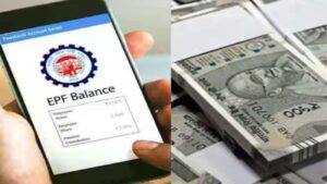 WhatsApp Image 2024-12-21 at 11.36.24 AM