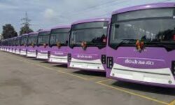 ಡಿ. 31ಕ್ಕೆ ಈ ಪ್ರದೇಶಗಳಿಗೆ ಹೆಚ್ಚುವರಿ ಬಸ್ ಸೇವೆ