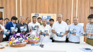 nandini-idli-and-dosa-batter