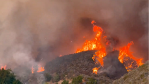 Screenshot 2025-01-09 132248