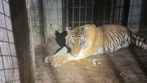 WhatsApp Image 2025-01-09 at 7.18.24 PM