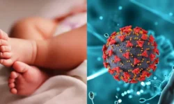 ಬೆಂಗಳೂರಿಗೂ ಕಾಲಿಟ್ಟ ಎಚ್ಎಂಪಿವಿ!!